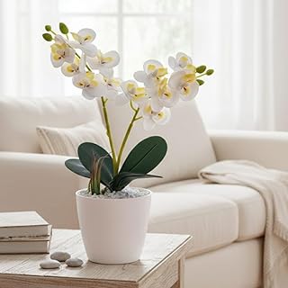 Arranjo White com mini orquideas