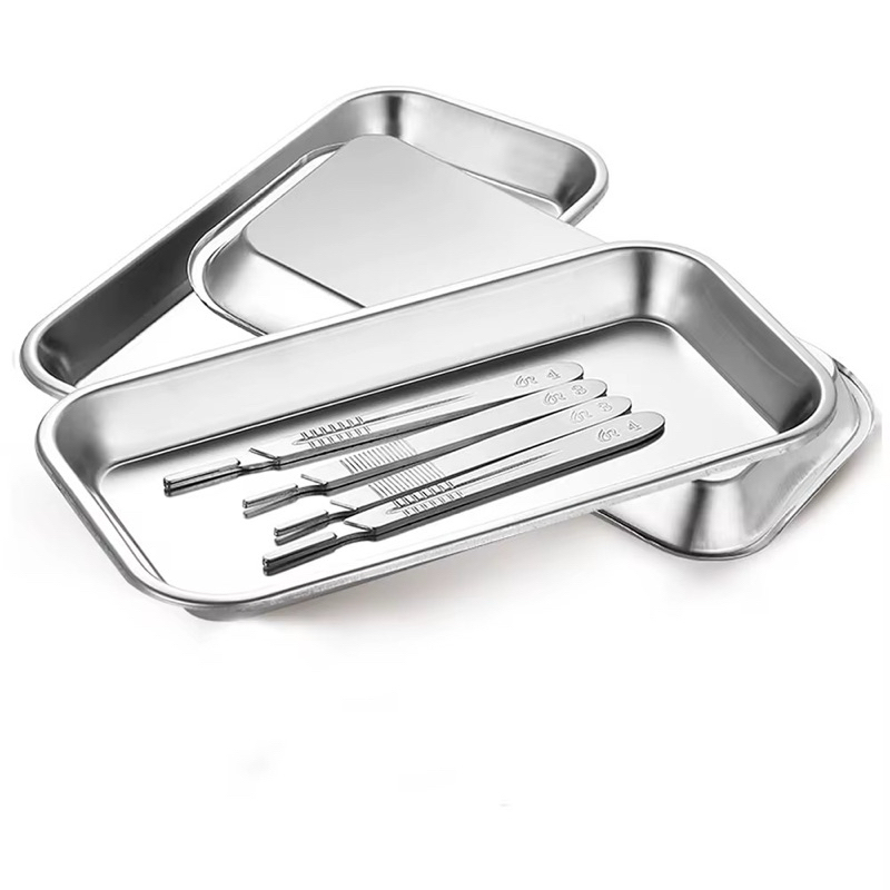 Bandeja Aco inoxidavel Para uso Hospitalar ou Servir Alimentos Banhado a Prata 22.5x12x2cm