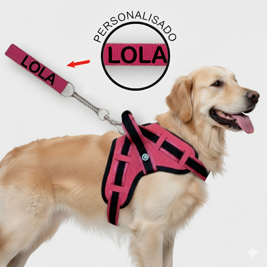 Coleira peitoral para cachorro reforçada com nome na guia cachorro de pequeno mdio e grande porte