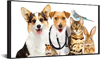 iKNOW FOTO Arte moderna de parede de animais em tela emoldurada cachorro gato coelho rato pássaros impressão giclée moldura flutuante preta pronta para pendurar para clínica veterinária pet shop cão